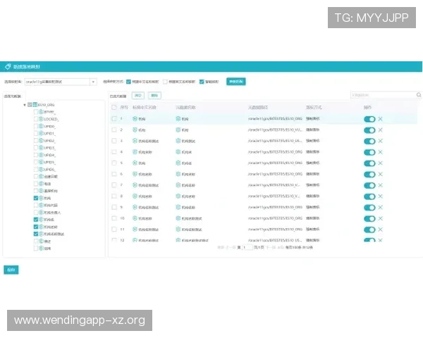 问鼎网官网入口登录最新版本更新内容及登录界面优化介绍