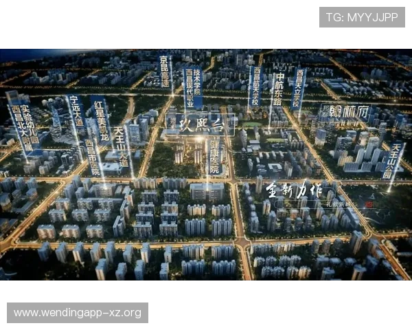 问鼎集团在全球市场中的战略布局与国际化进程